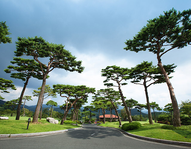 아크로컨트리클럽3